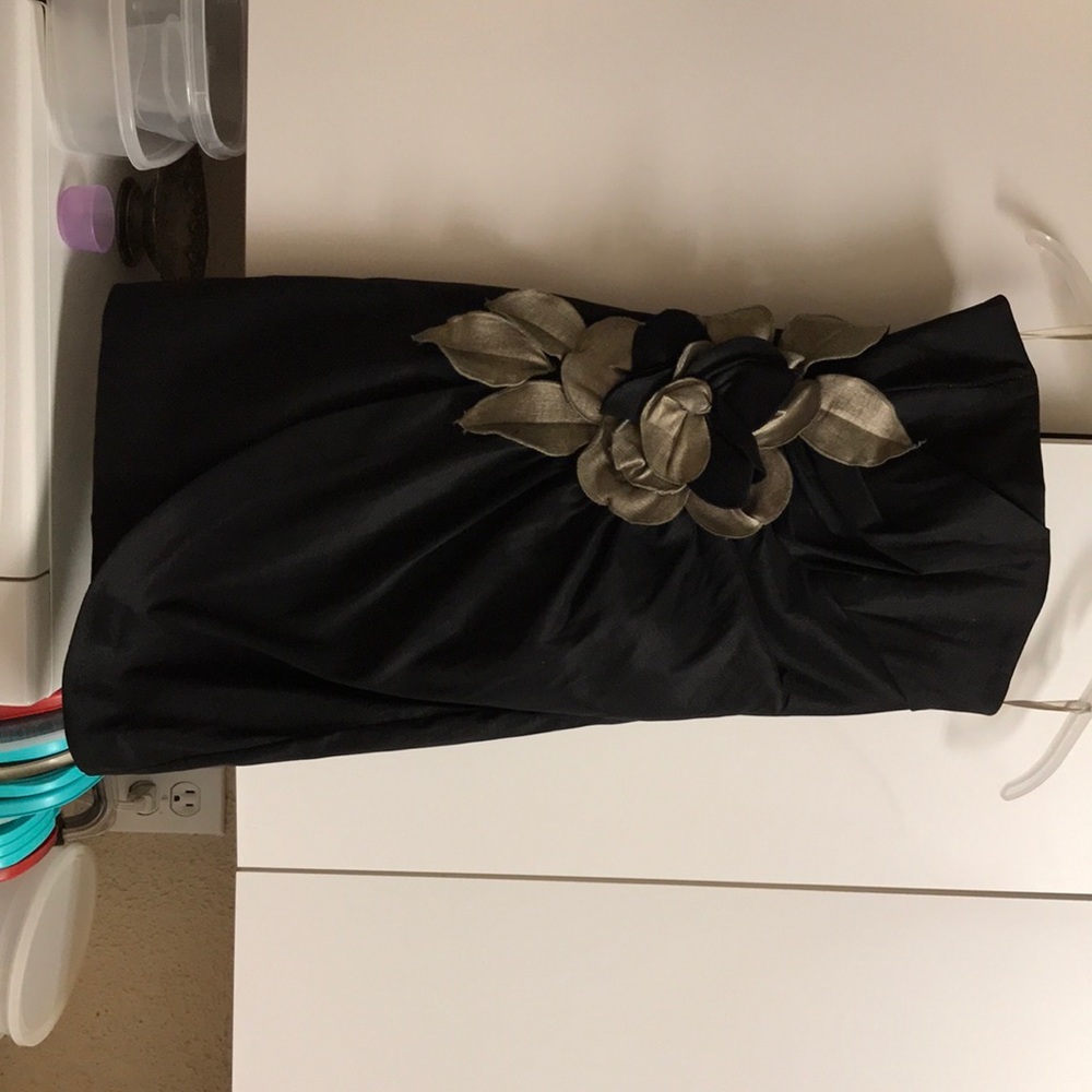 Cache Black and Taupe Dress